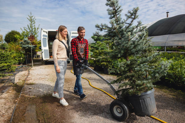 How Our Tree Care Process Works  in  Wewahitchka, FL